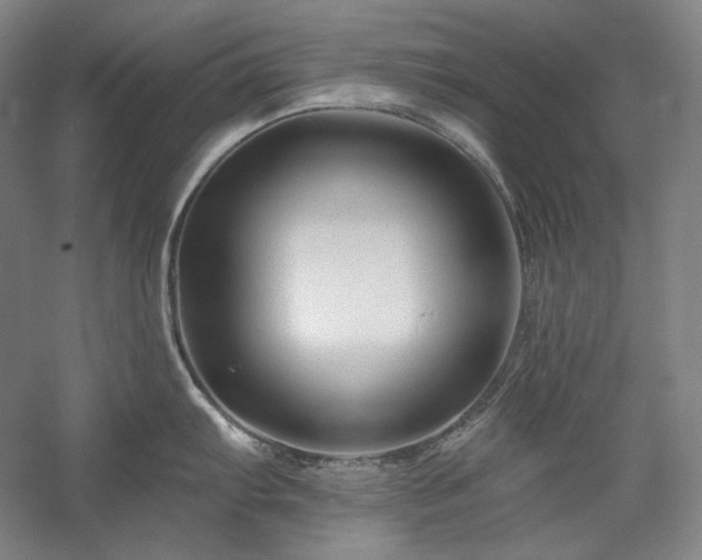 X0000060221103200510281101