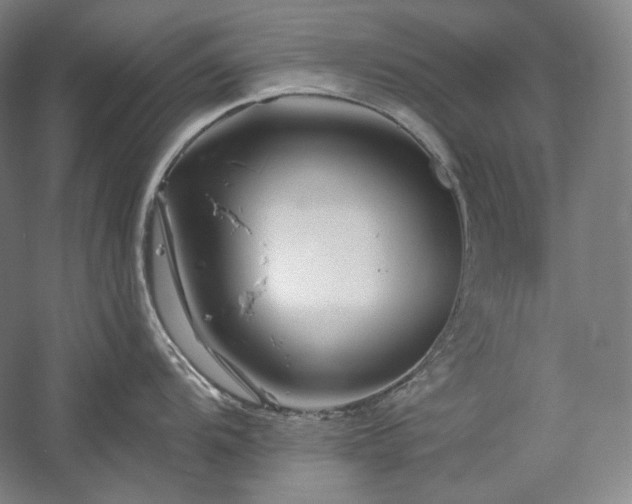 X0000060221104200510281101