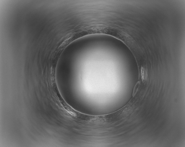 X0000060221107200510281100