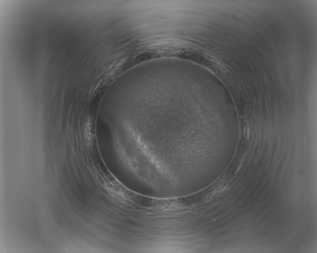 X0000060221108200510281100