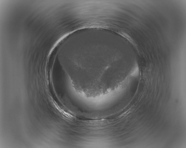 X0000060221120200510281101