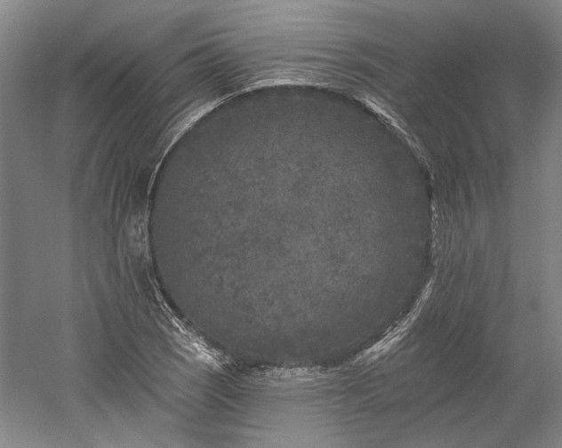 X0000060221121200510281101
