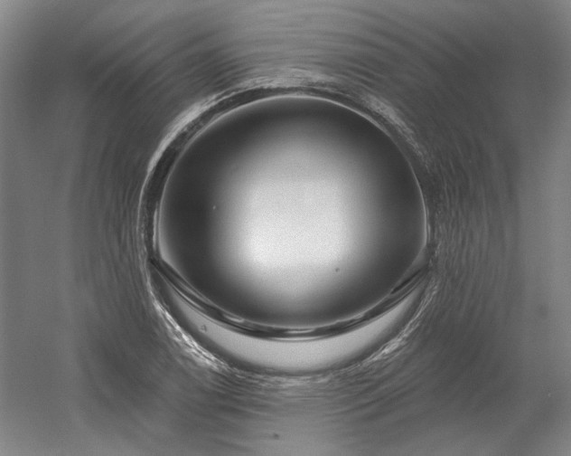 X0000060221122200510281101