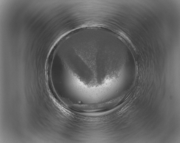 X0000060221124200510281101