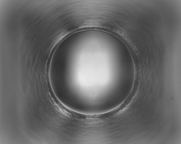 X0000060221129200510281101