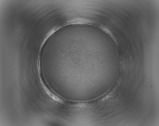 X0000060221130200510281101