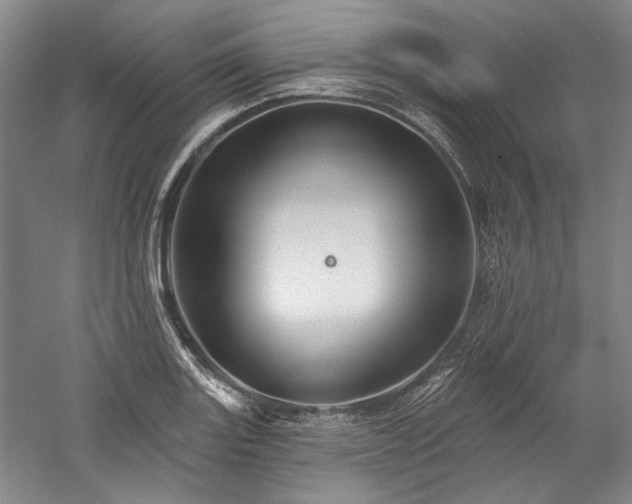 X0000060221131200510281101