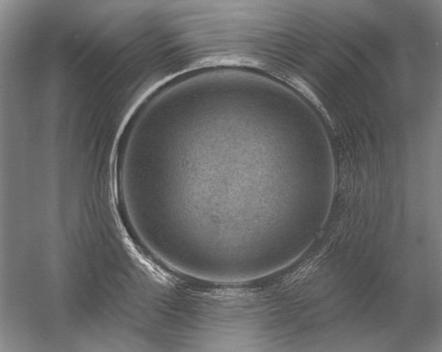 X0000060221132200510281101