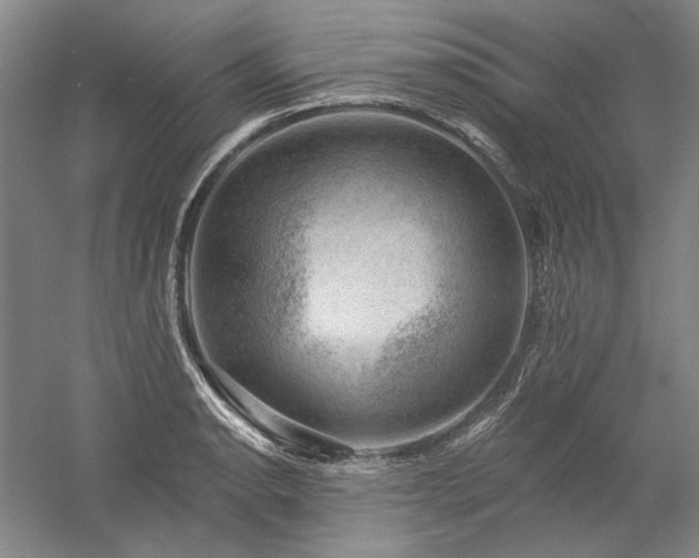 X0000060221134200510281101