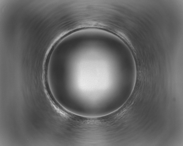 X0000060221136200510281101