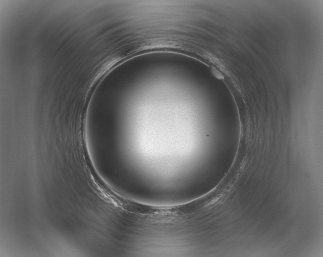 X0000060221137200510281101
