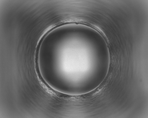 X0000060221138200510281101