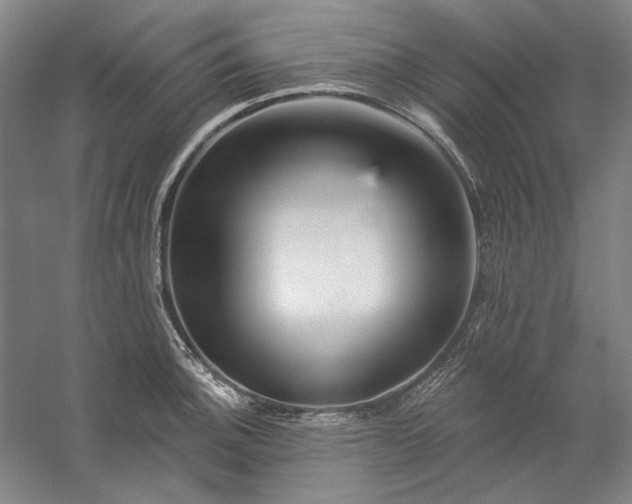 X0000060221140200510281101