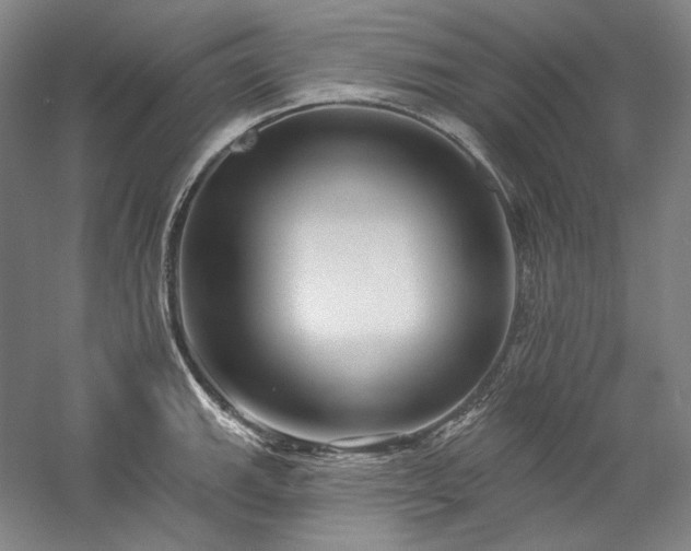 X0000060221143200510281101