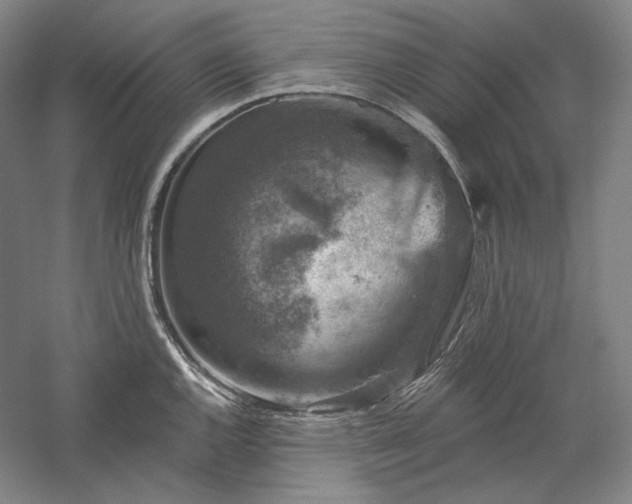 X0000060221144200510281101