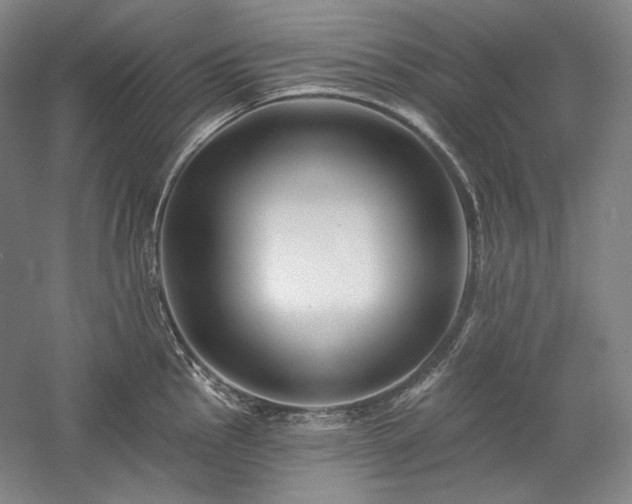 X0000060221145200510281101