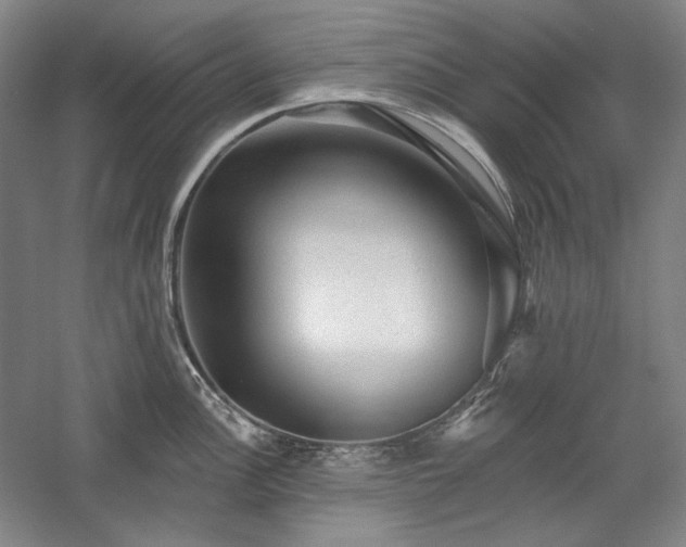 X0000060221148200510281101