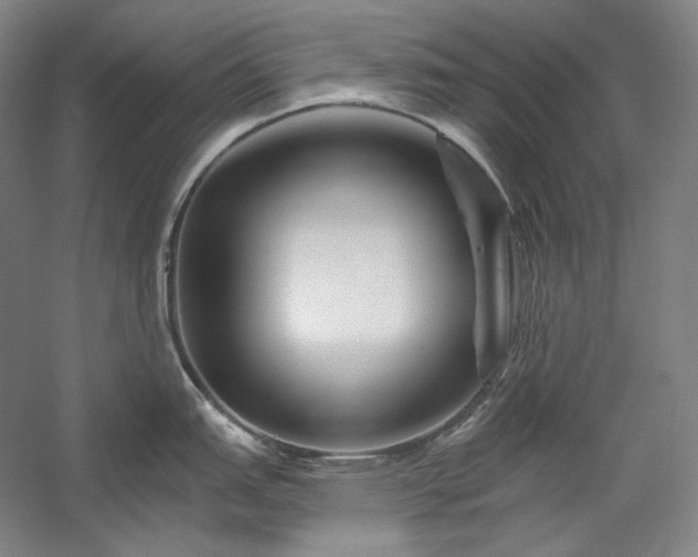 X0000060221151200510281101