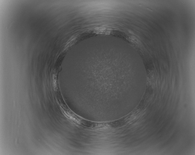 X0000060221154200510281100