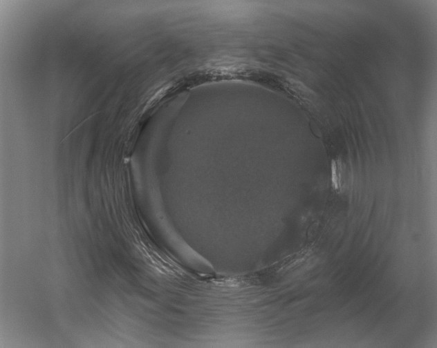X0000060221155200510281100