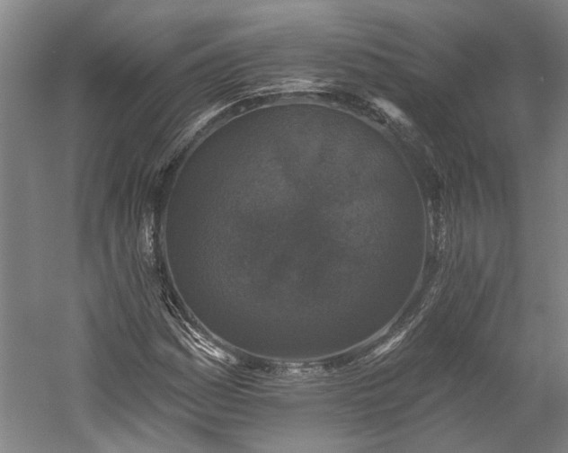 X0000060221161200510281100