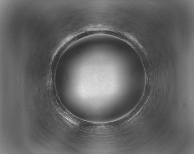 X0000060221167200510281100