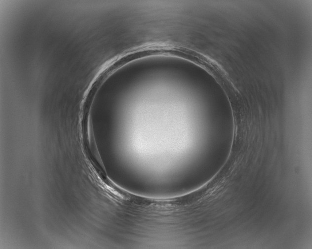 X0000060221168200510281100