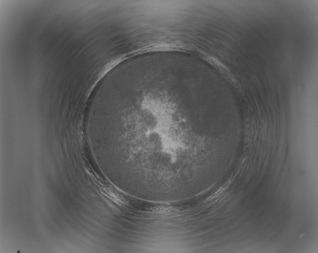 X0000060221170200510281100