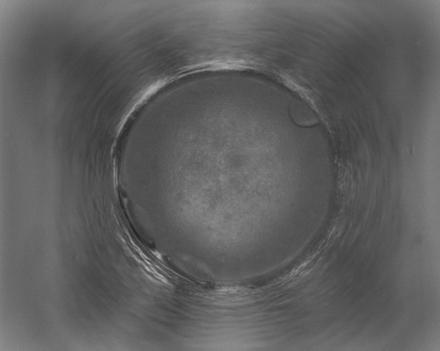 X0000060221171200510281100