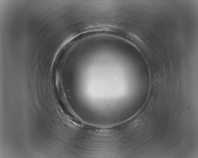 X0000060221172200510281100