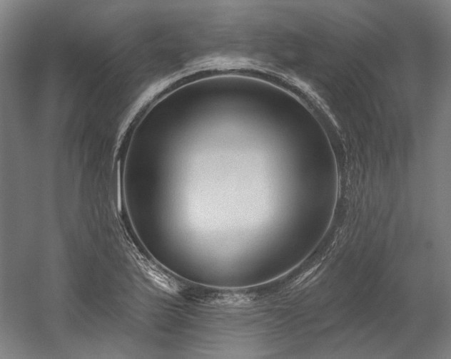 X0000060221175200510281100