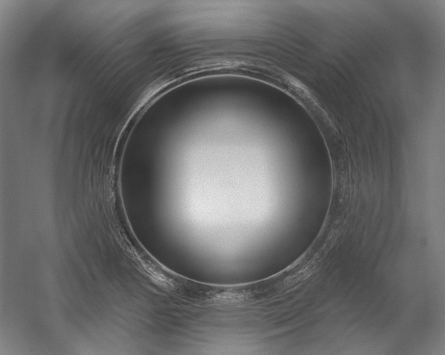 X0000060221178200510281100