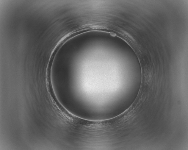 X0000060221182200510281100