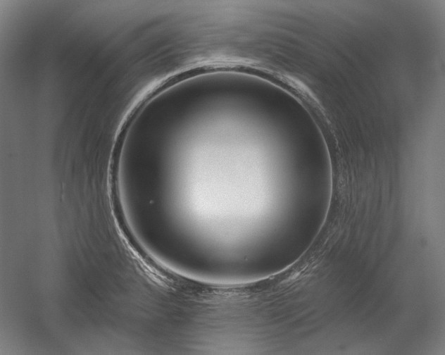X0000060221183200510281100