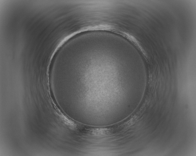 X0000060221184200510281100