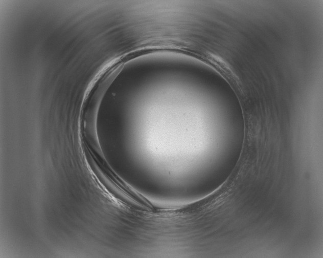 X0000060221188200510281100