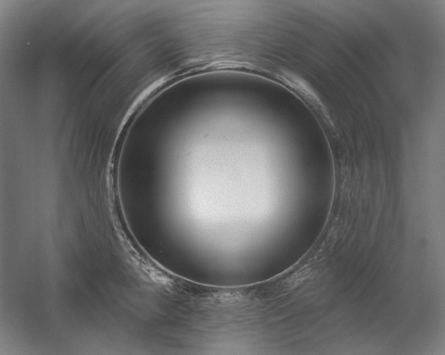 X0000060221190200510281100