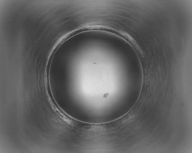 X0000060221191200510281100