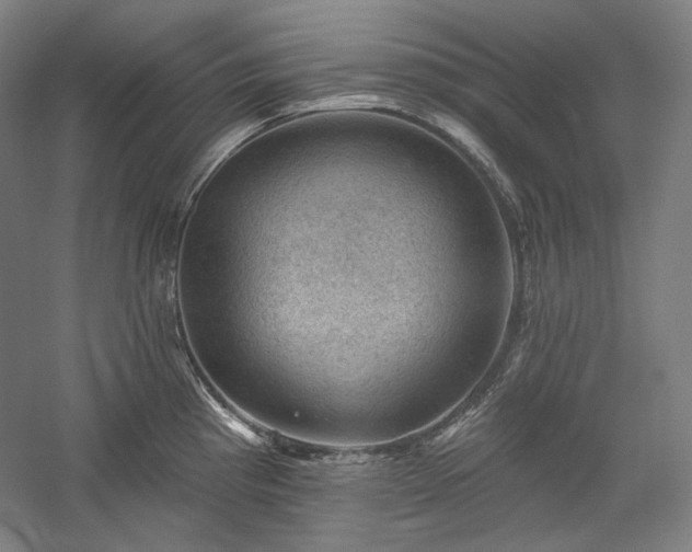 X0000060221193200510281100