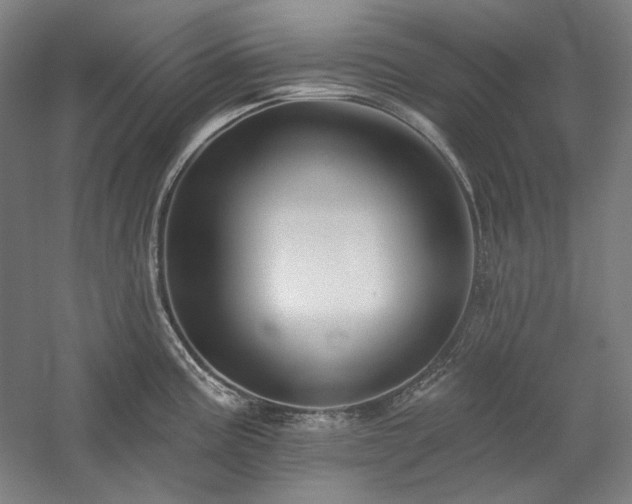 X0000060221195200510281100