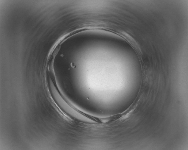 X0000060221196200510281100