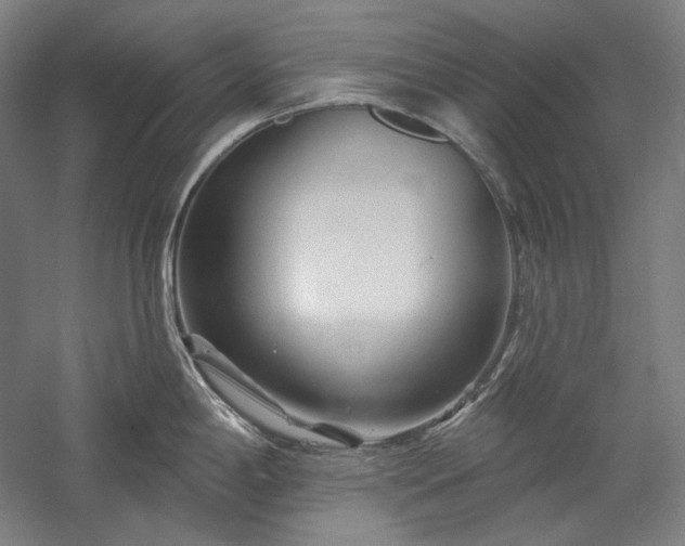 X0000060221198200510281100
