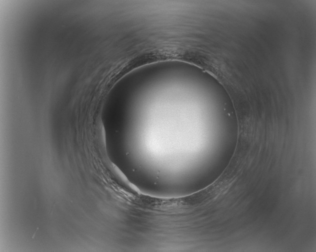 X0000060221201200510281059