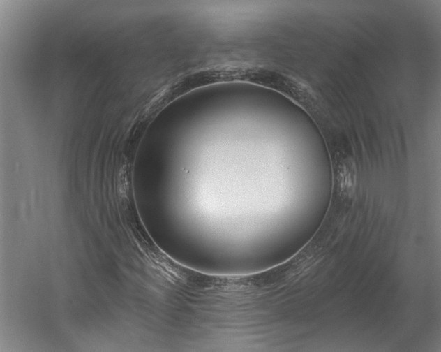 X0000060221204200510281059