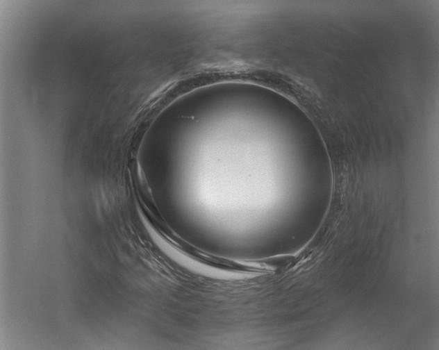 X0000060221205200510281059
