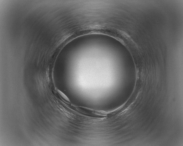 X0000060221209200510281059