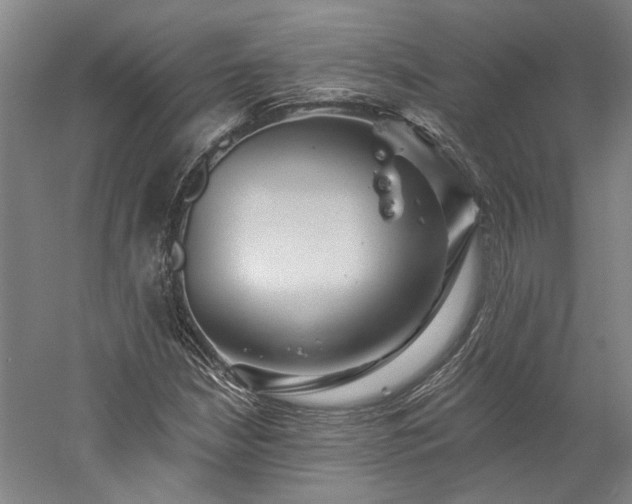 X0000060221210200510281059