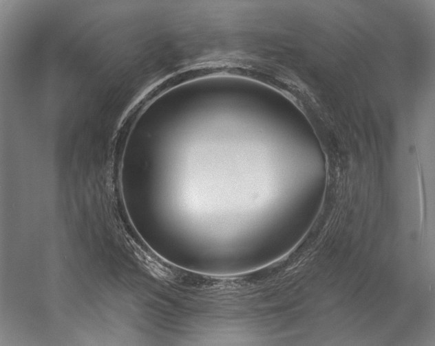 X0000060221216200510281059