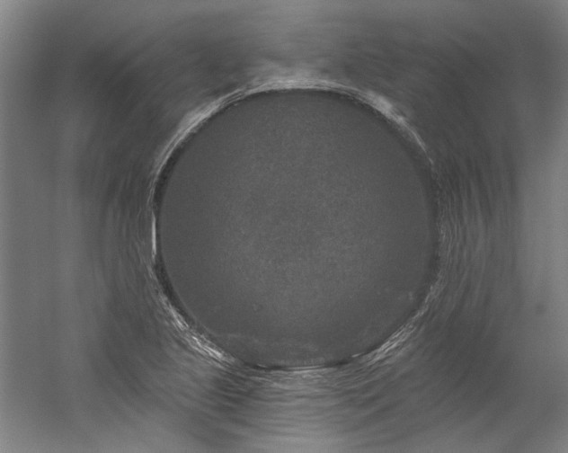 X0000060221221200510281059