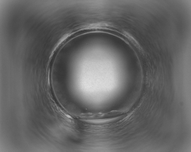 X0000060221224200510281059